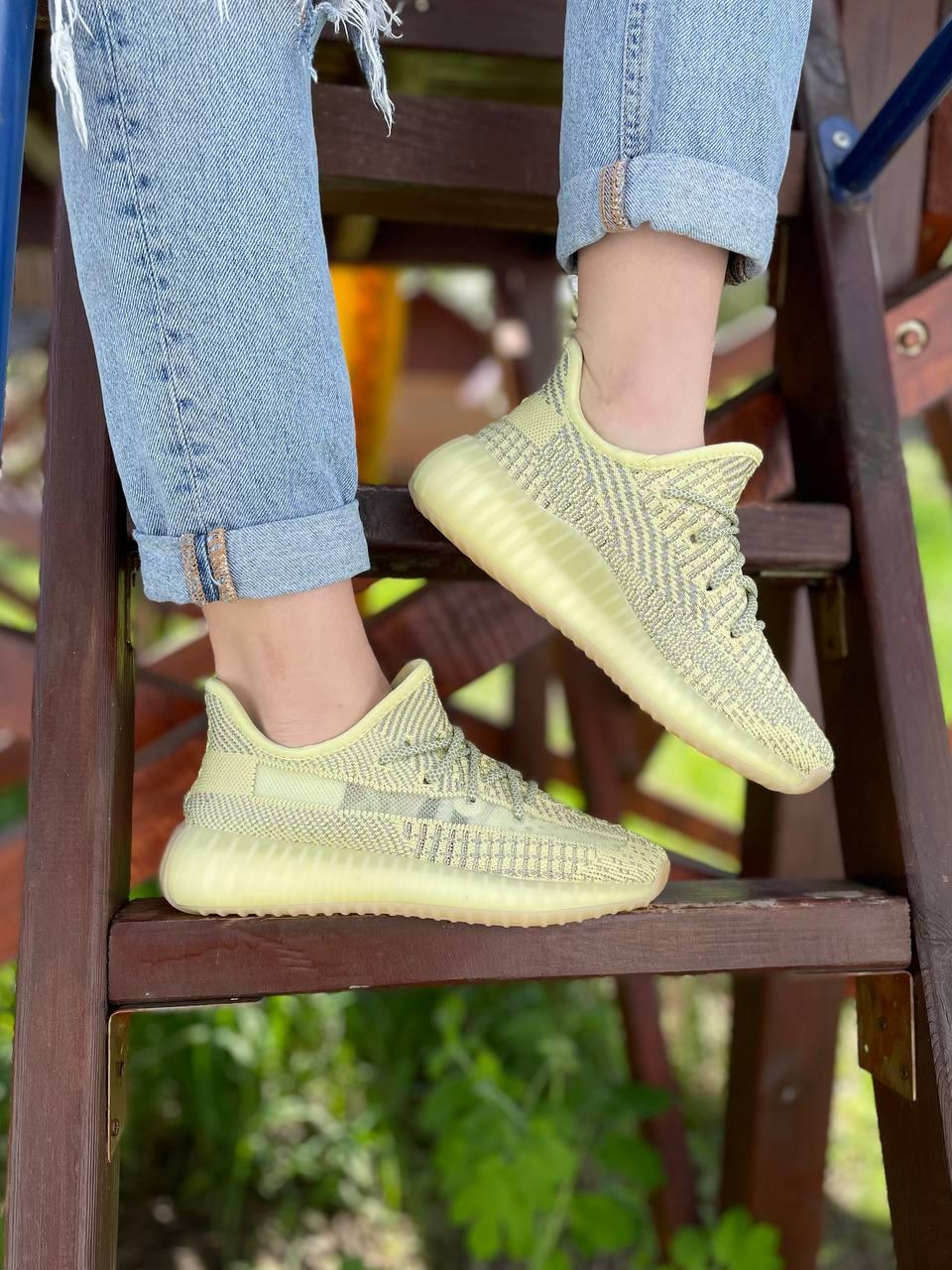 Adidas Yeezy Boost 350 Antila