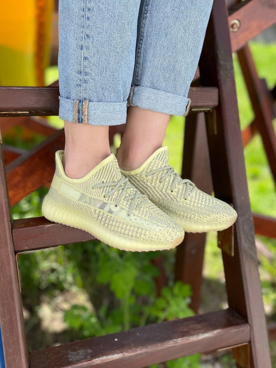 Adidas Yeezy Boost 350 Antila