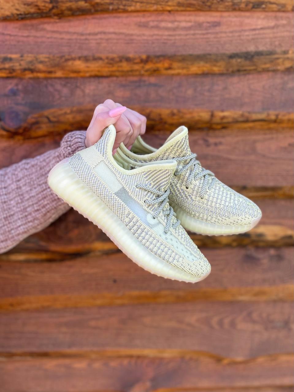 Adidas Yeezy Boost 350 Antila