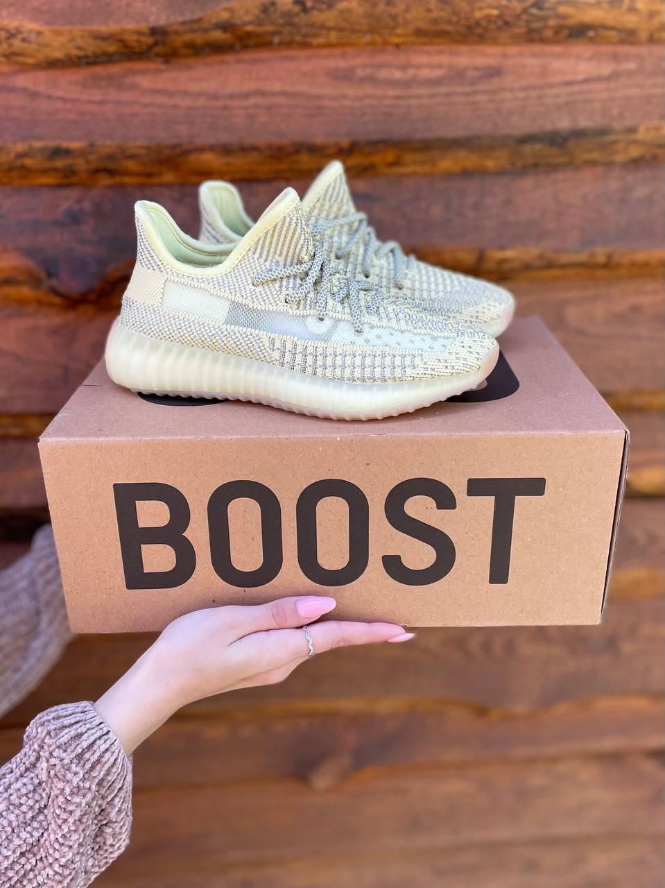 Adidas Yeezy Boost 350 Antila