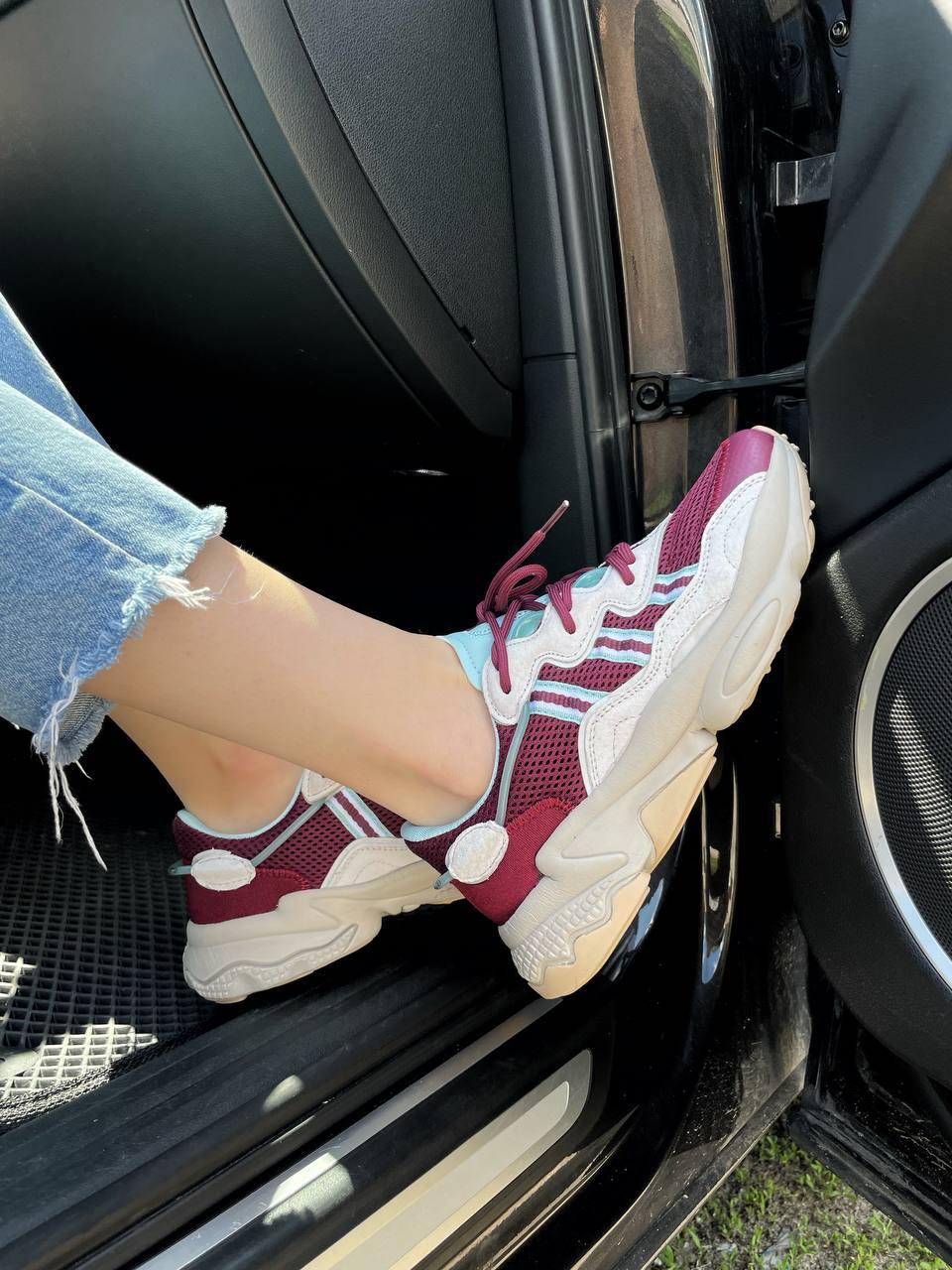 Adidas Ozweego Adiprene Pride Bordo Blue