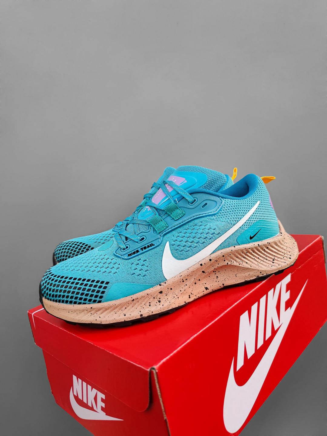 Nike Pegasus Trail 3 Blue