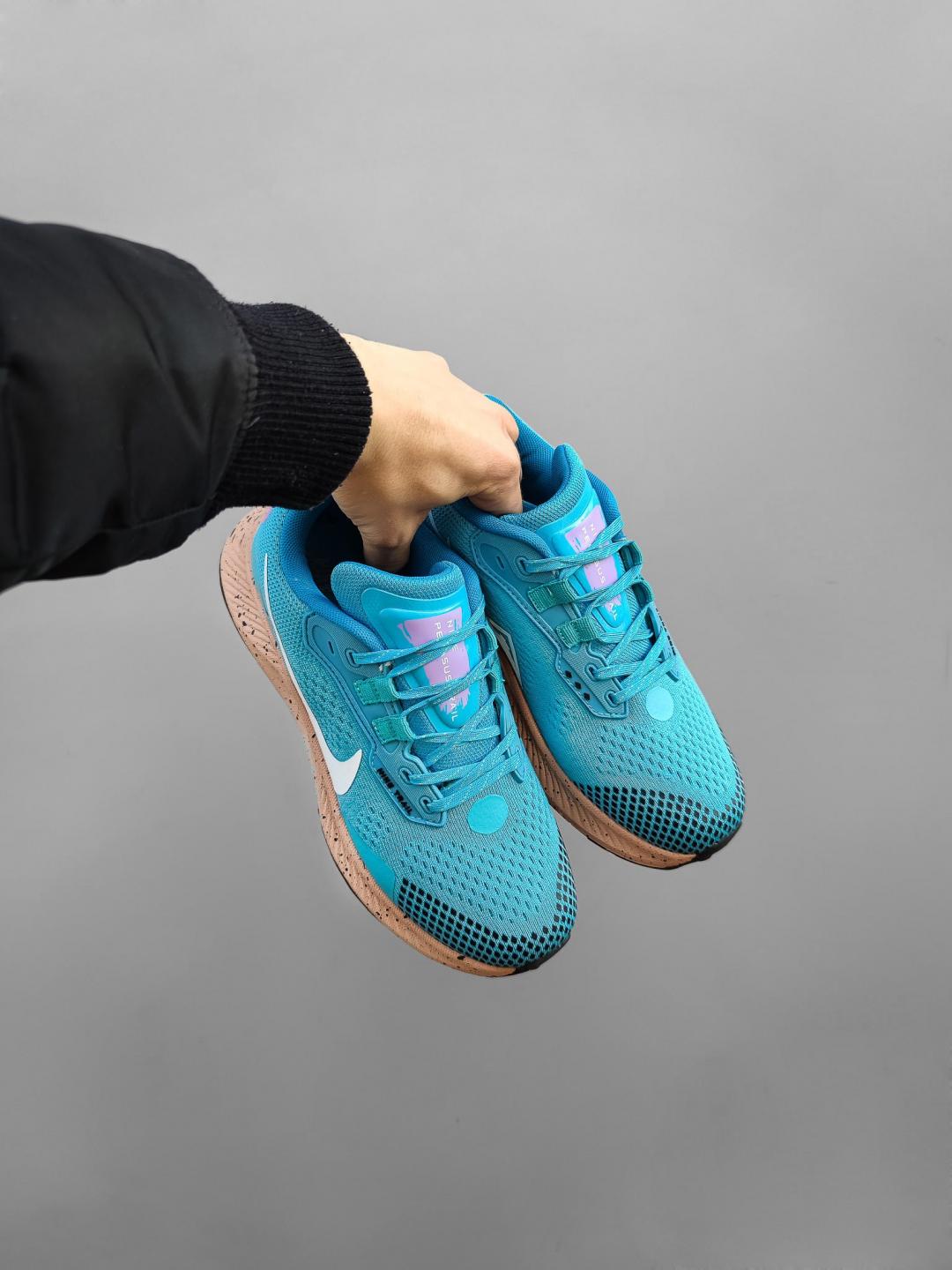 Nike Pegasus Trail 3 Blue
