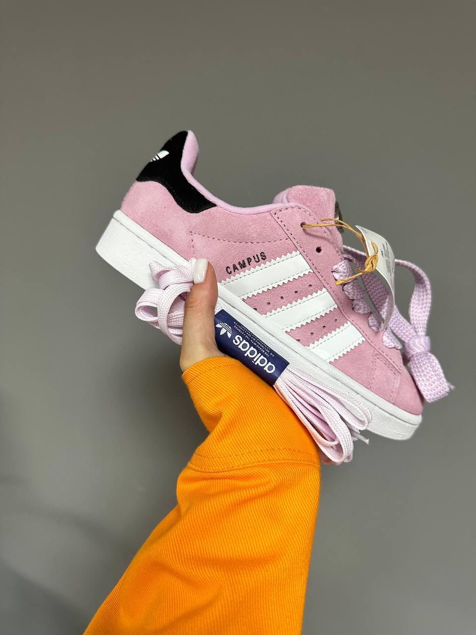 Adidas Campus Pink White