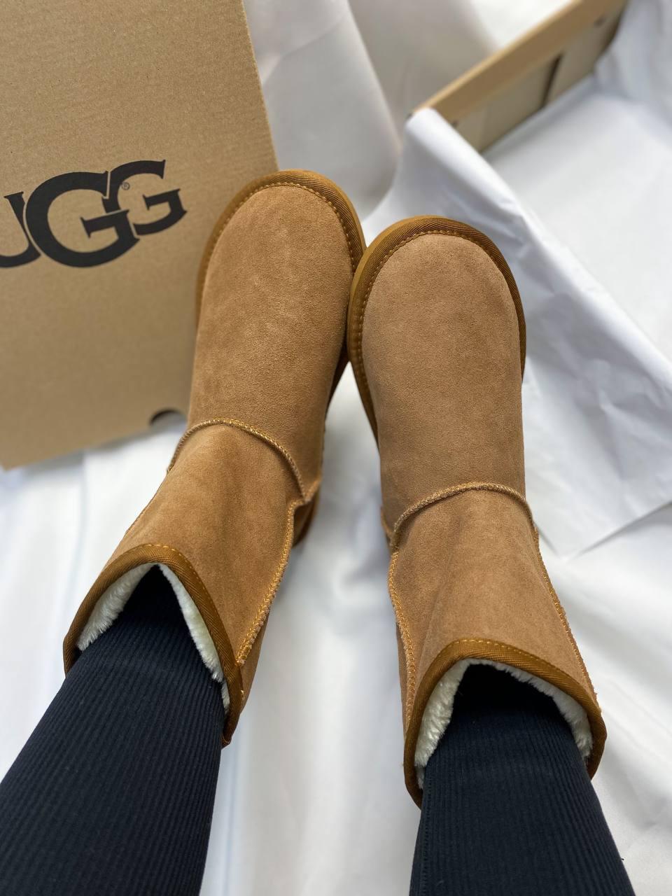 UGG Classic Short Light Brown