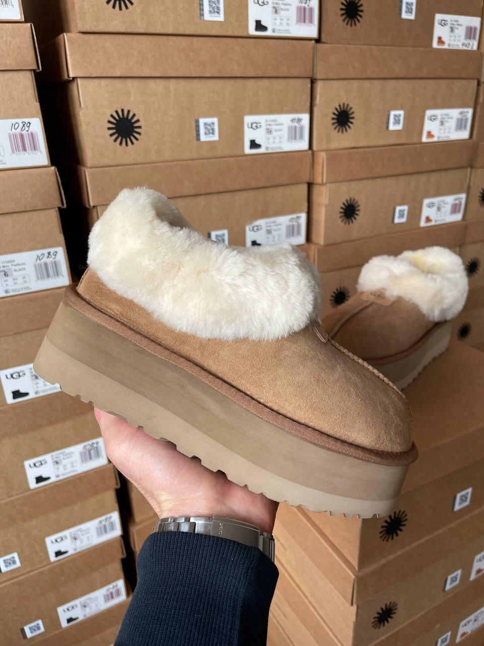 Ugg Coquette Platform Chestnut