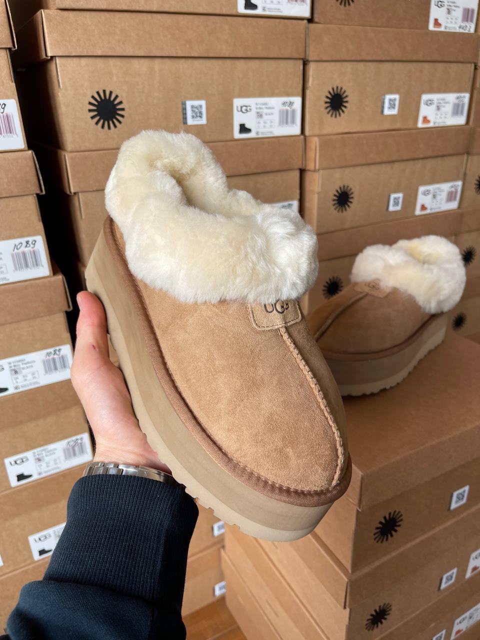 Ugg Coquette Platform Chestnut