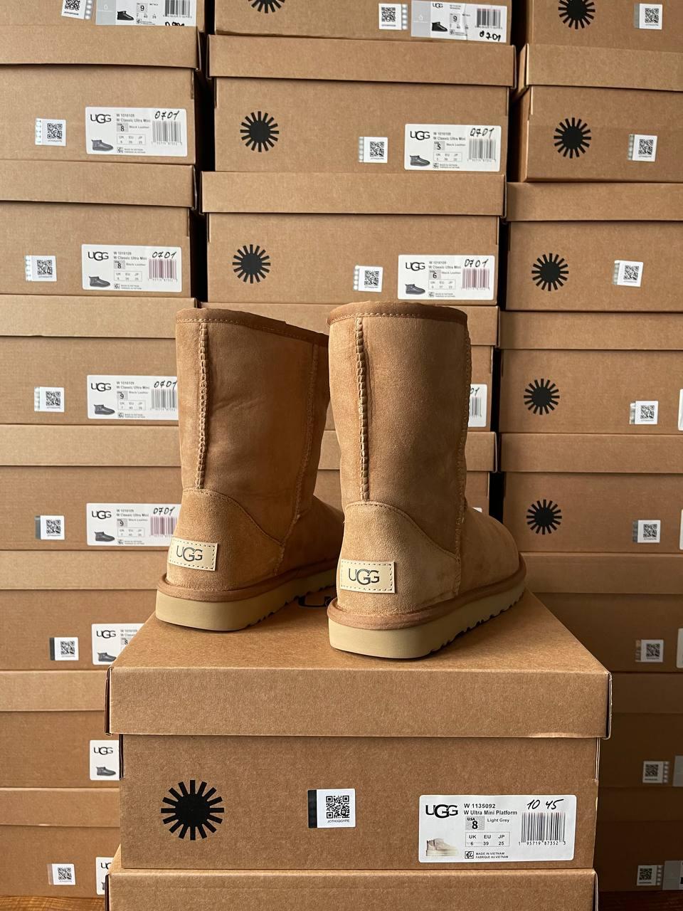 Ugg Classic Short II Chestnut