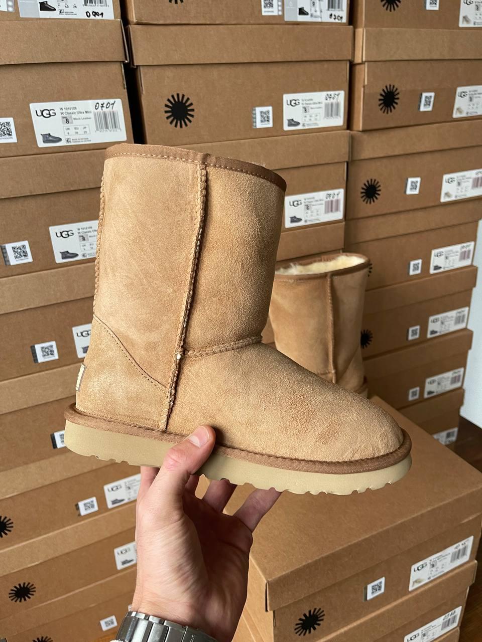 Ugg Classic Short II Chestnut