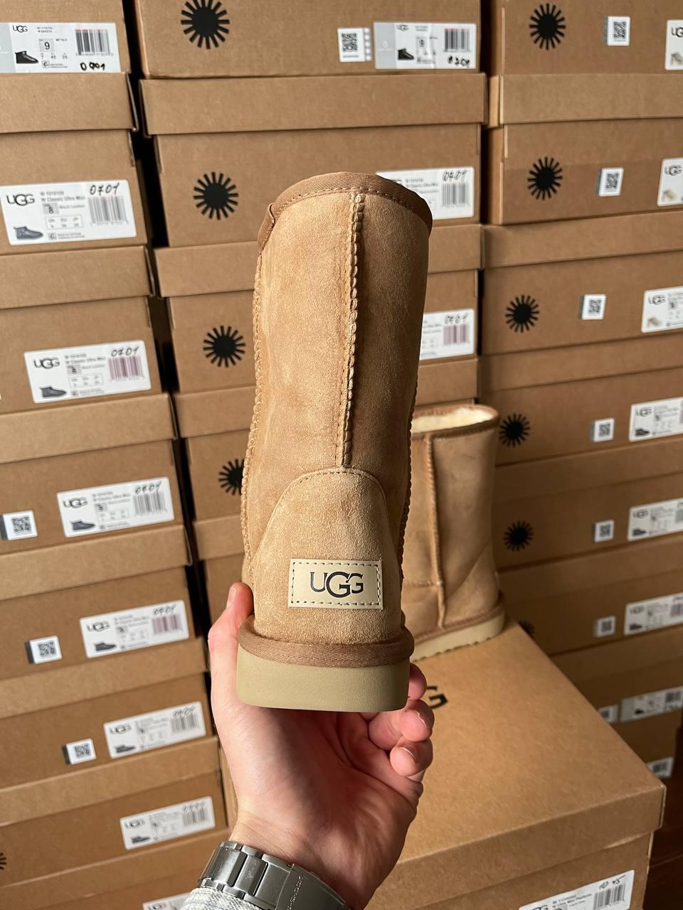 Ugg Classic Short II Chestnut