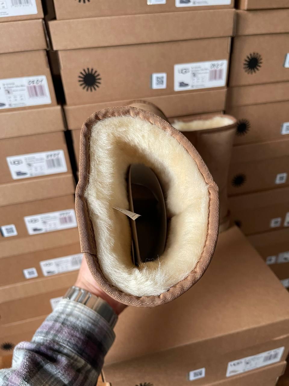 Ugg Classic Short II Chestnut